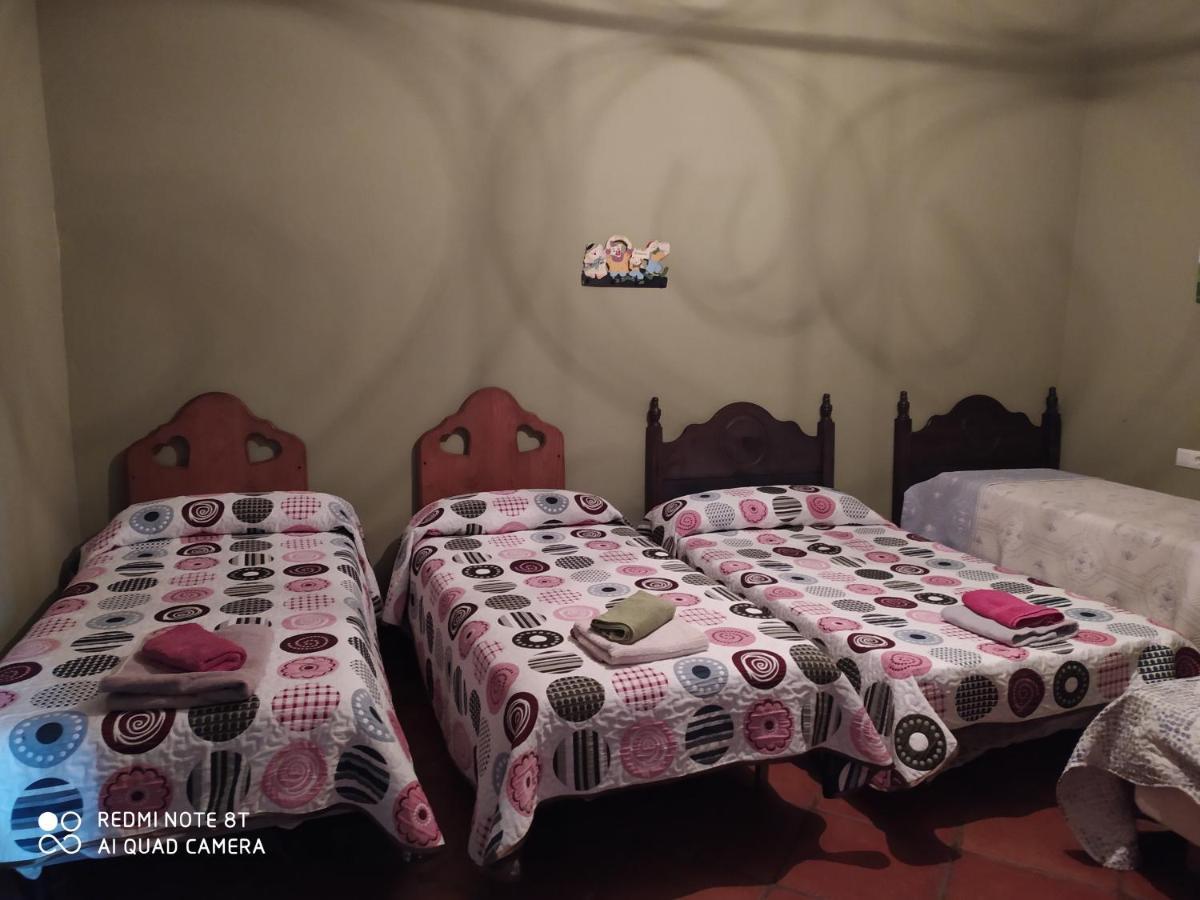 Casa Rural La Noria Los Palacios Y Villafranca Dış mekan fotoğraf